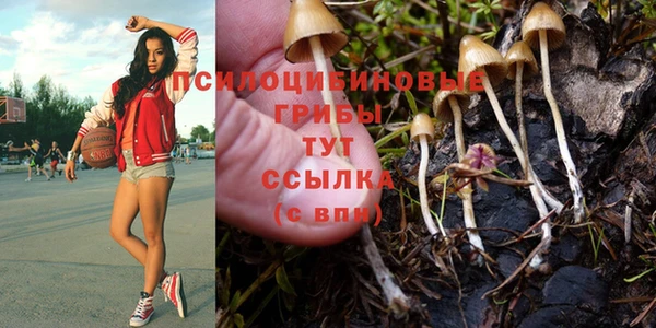 герыч Гусев