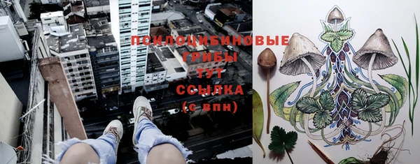 марки nbome Гусиноозёрск
