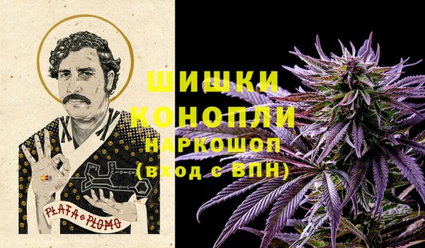 молекула духа Дмитриев