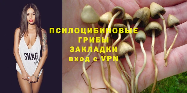 марки nbome Гусиноозёрск